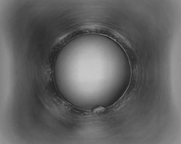 X0000110740822200906221027