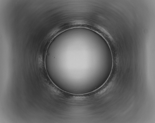 X0000110740825200906221027