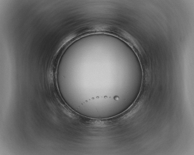 X0000110740827200906221027