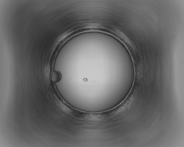 X0000110740831200906221027
