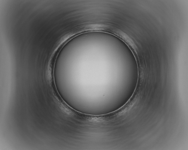 X0000110740835200906221027