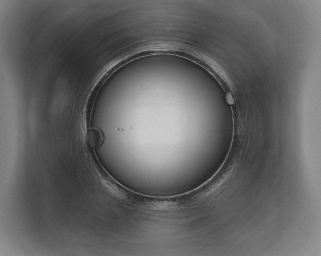 X0000110740837200906221027