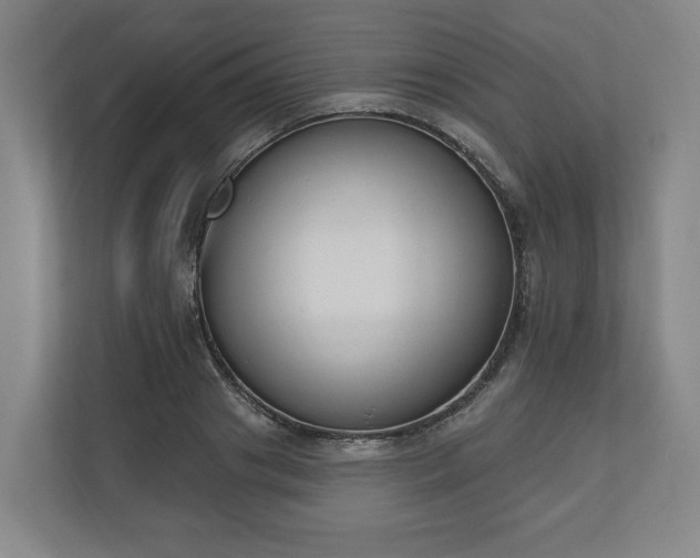 X0000110740841200906221027