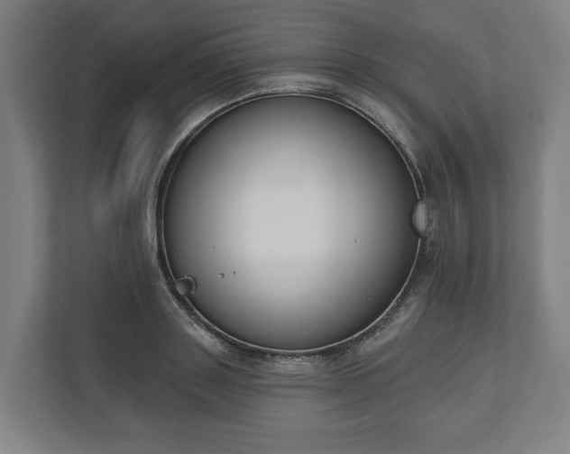 X0000110740843200906221027