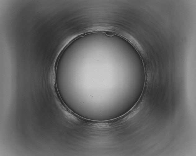 X0000110740844200906221027