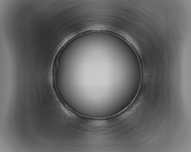 X0000110740845200906221027