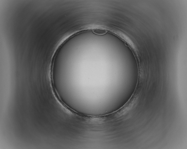 X0000110740847200906221027