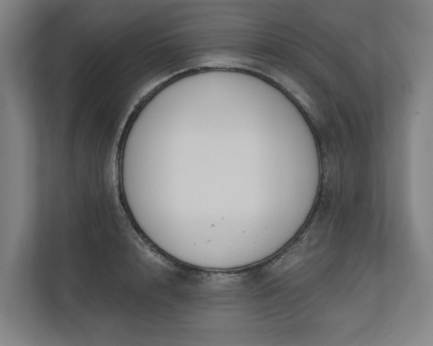 X0000110740848200906221027