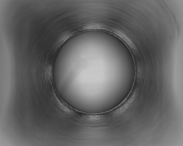 X0000110740849200906221027
