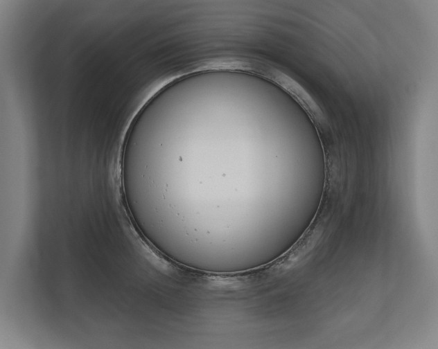 X0000110740852200906221027