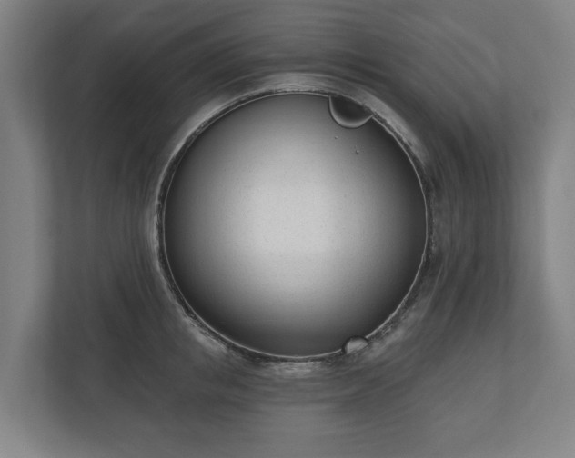 X0000110740853200906221027