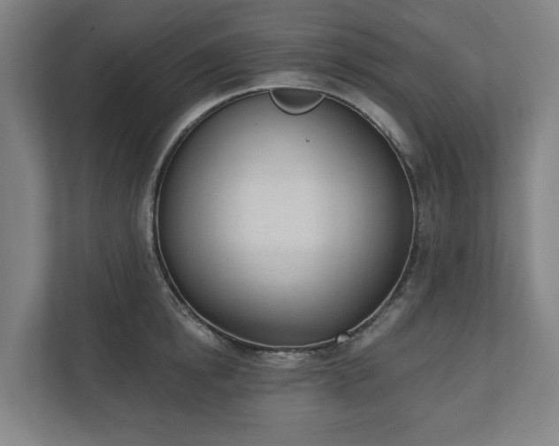X0000110740854200906221027