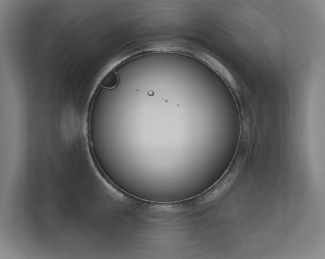 X0000110740855200906221027