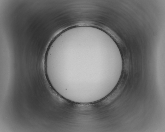 X0000110740856200906221027