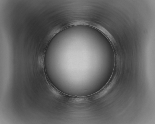 X0000110740857200906221027