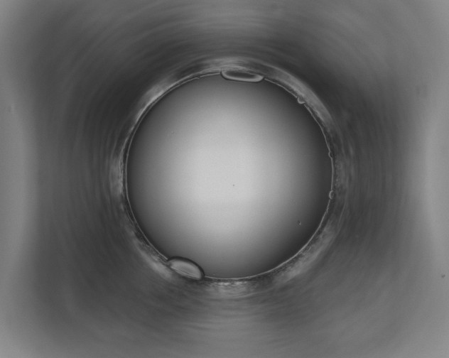 X0000110740858200906221027