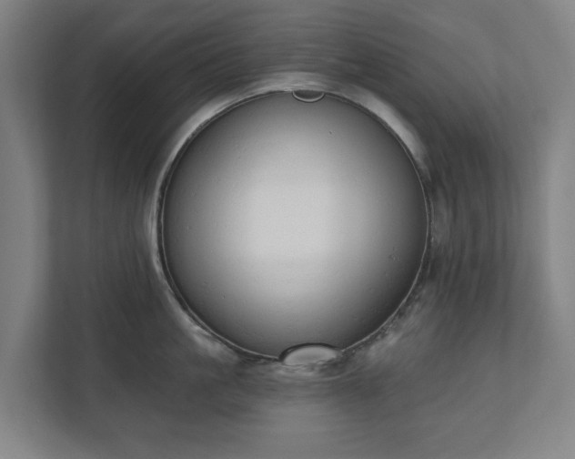 X0000110740861200906221027