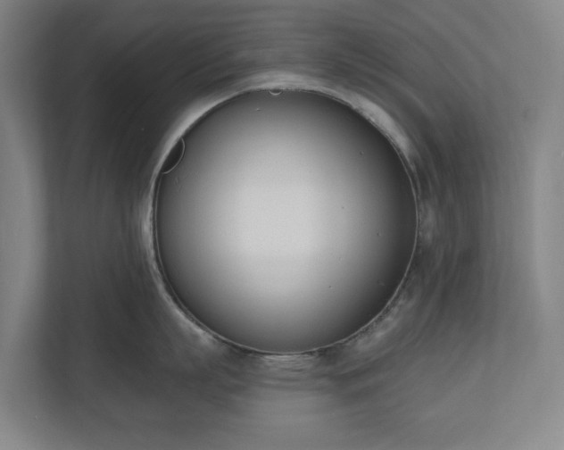X0000110740863200906221027