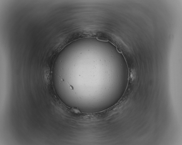 X0000110740867200906221027