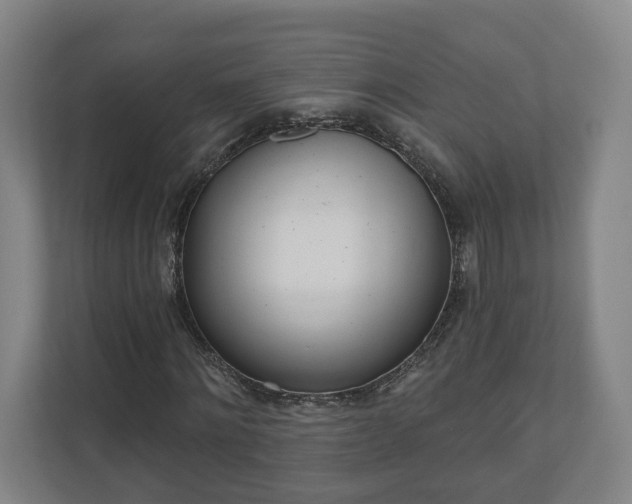 X0000110740868200906221027