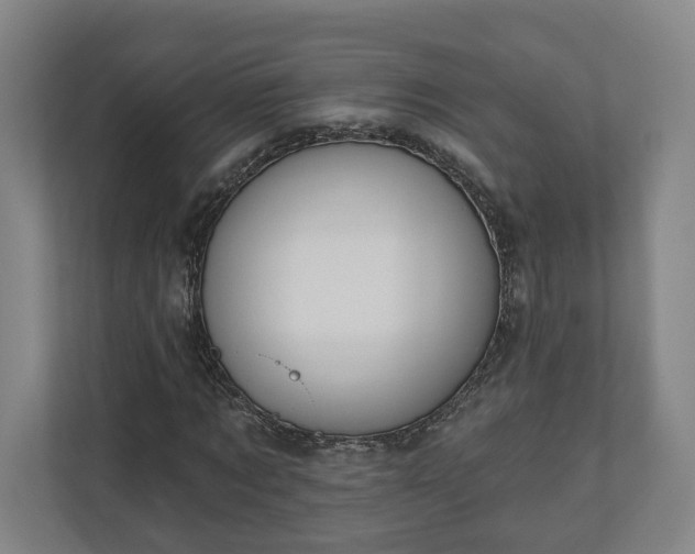 X0000110740869200906221026
