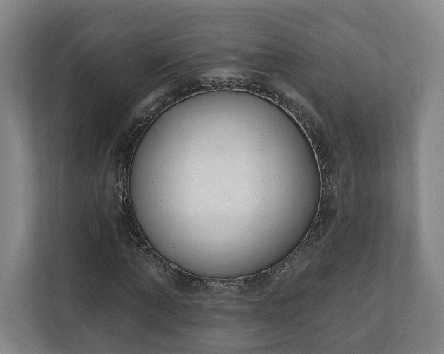 X0000110740870200906221026