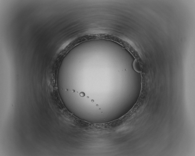 X0000110740871200906221026