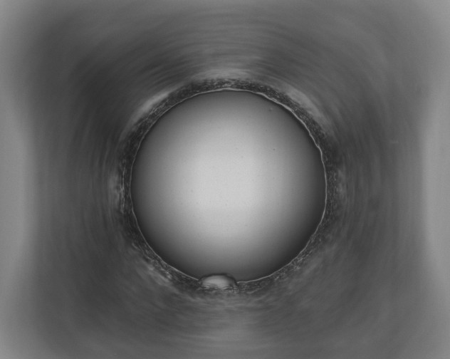 X0000110740872200906221026