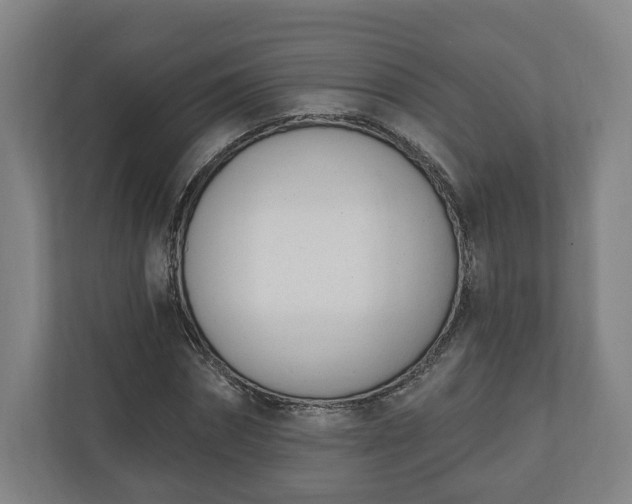 X0000110740874200906221026