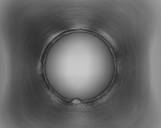 X0000110740876200906221026