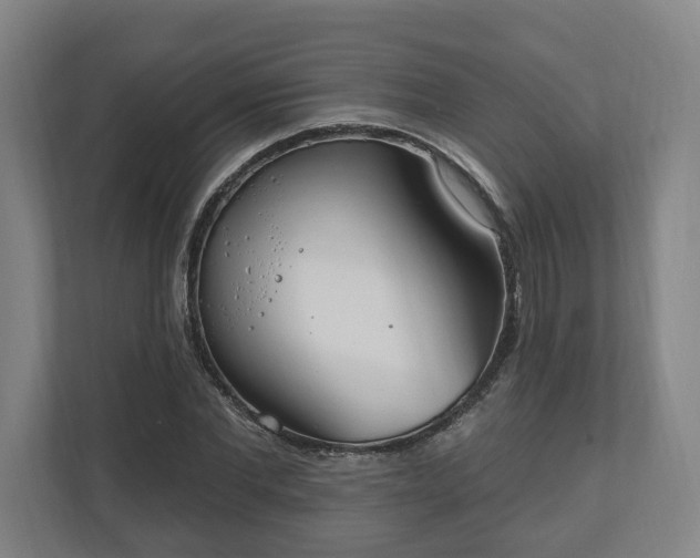 X0000110740877200906221026