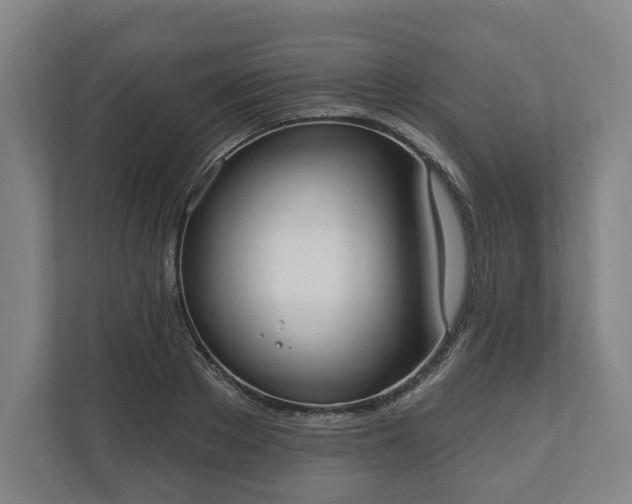 X0000110740889200906221026