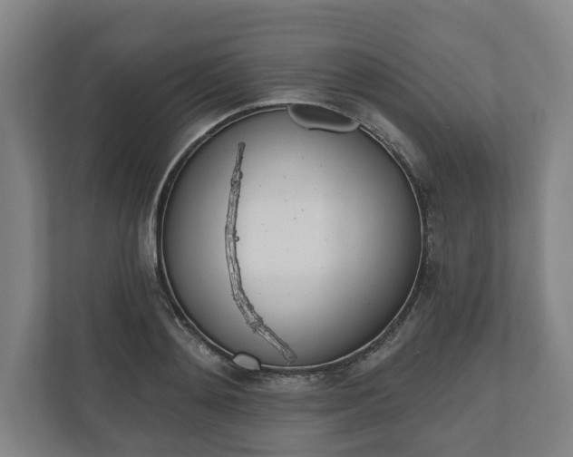 X0000110740892200906221026