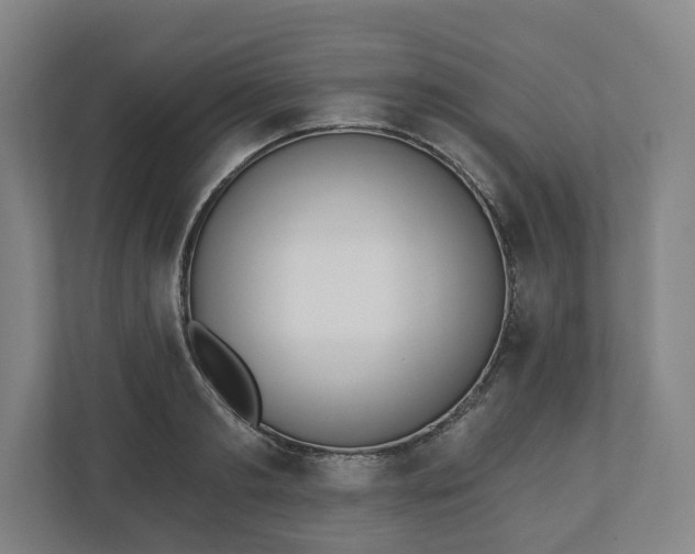 X0000110740893200906221026
