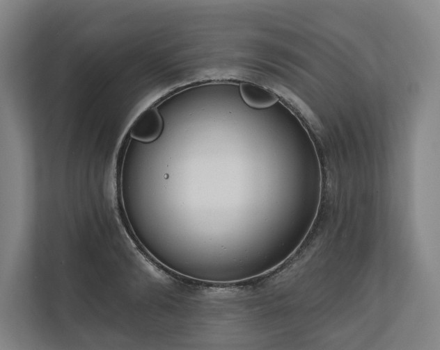 X0000110740894200906221026