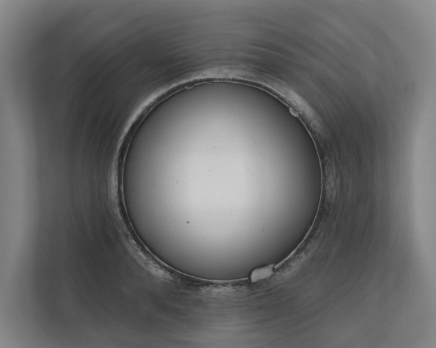 X0000110740896200906221026