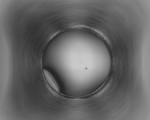 X0000110740897200906221026
