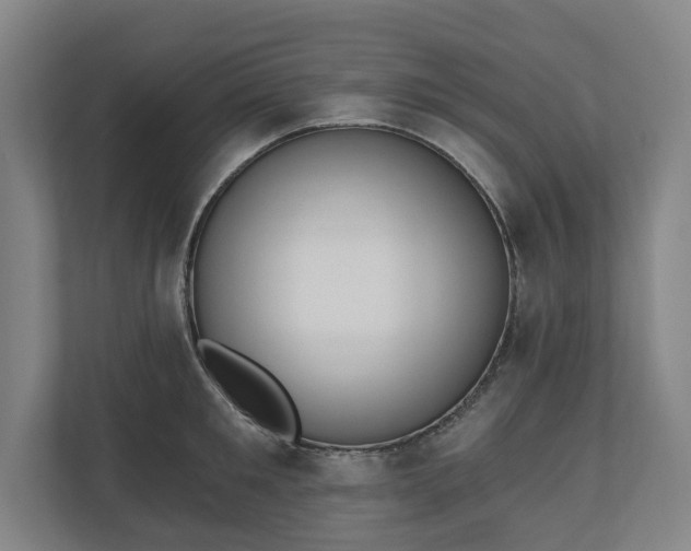 X0000110740901200906221026