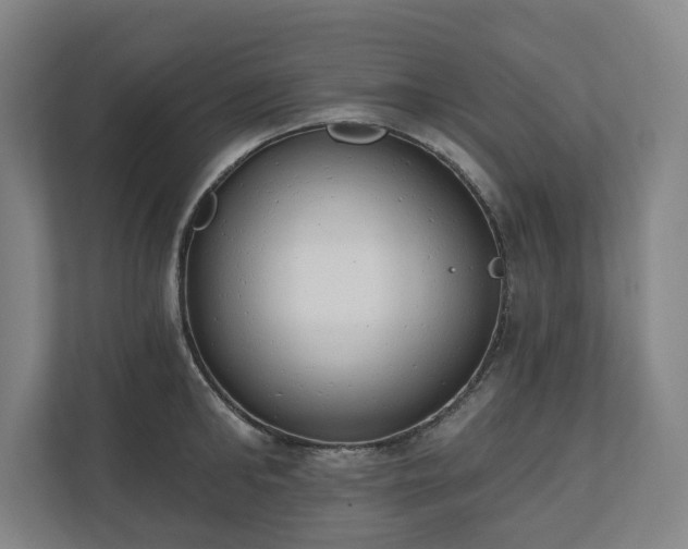 X0000110740902200906221026