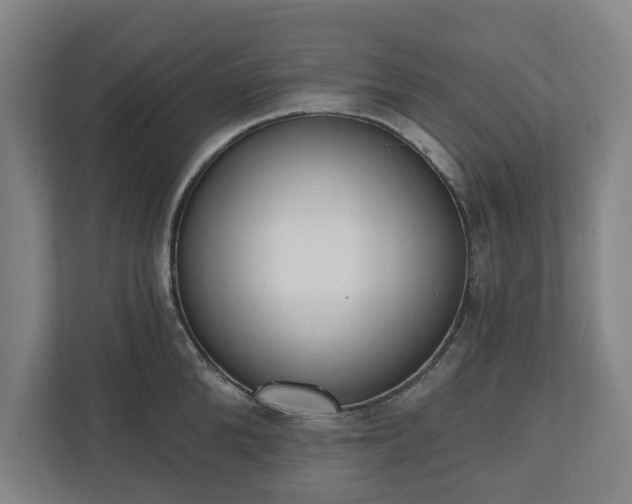 X0000110740904200906221026