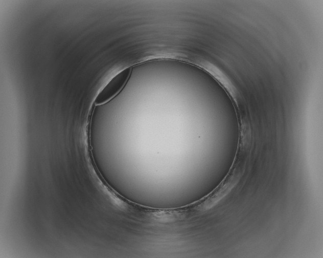 X0000110740906200906221026