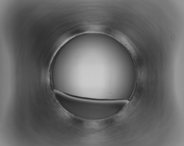 X0000110740908200906221026