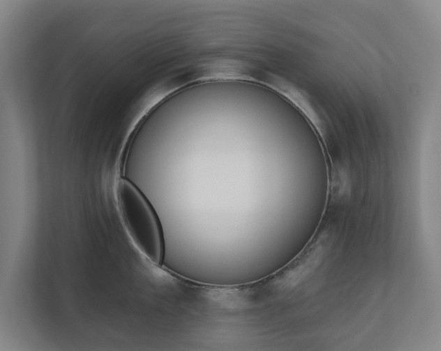 X0000110740909200906221026