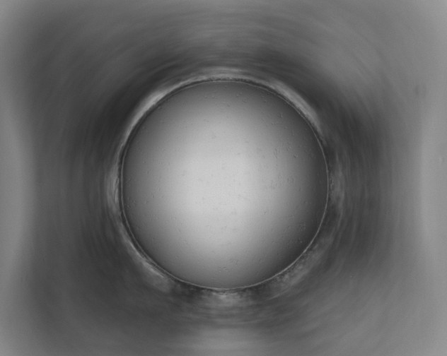 X0000110740911200906221026