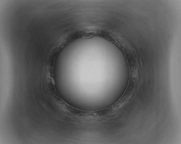 X0000110740916200906221025