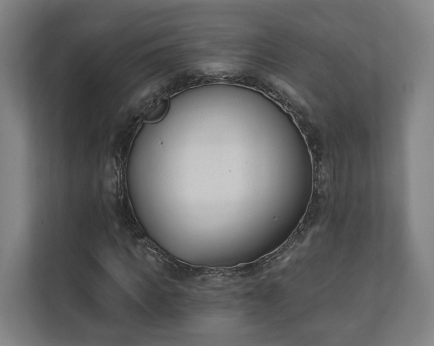 X0000110740917200906221025