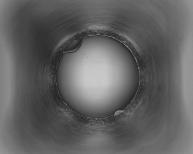 X0000110740919200906221025