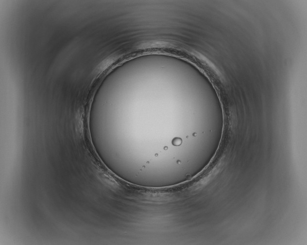 X0000110740921200906221025