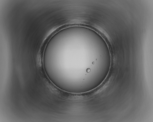 X0000110740925200906221025