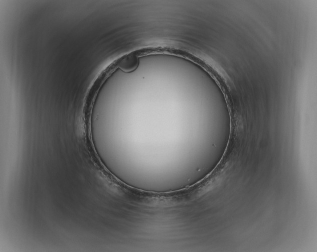 X0000110740927200906221025
